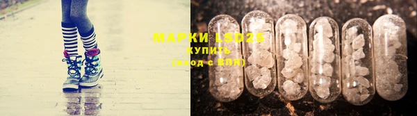 PSILOCYBIN Осташков