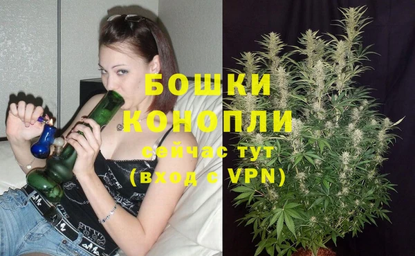 a pvp Абаза