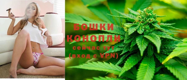 PSILOCYBIN Осташков