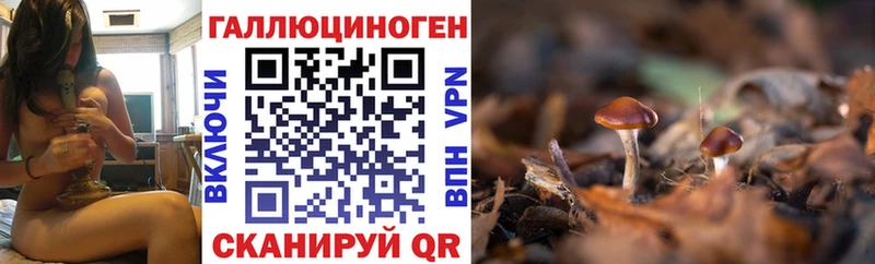 Галлюциногенные грибы GOLDEN TEACHER Торопец