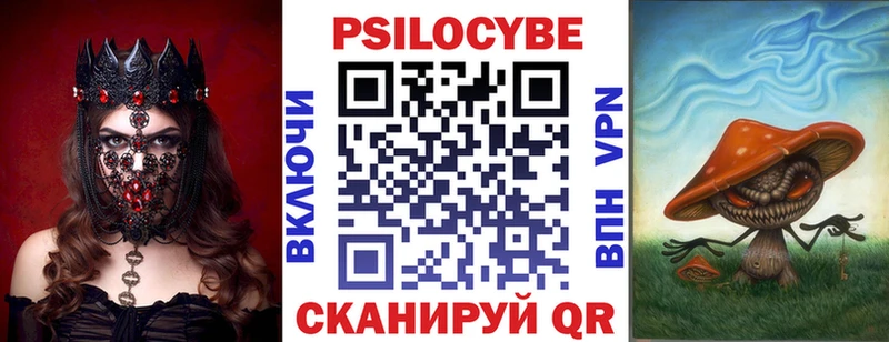 как найти   Торопец  Псилоцибиновые грибы Psilocybine cubensis 