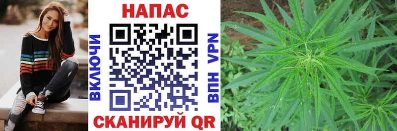Бошки Шишки индика  OMG вход  Торопец 